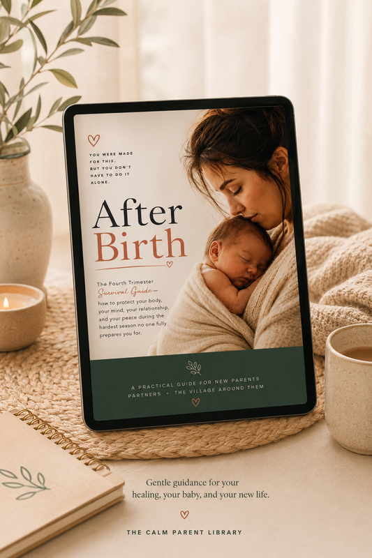 After Birth - The Fourth Trimester Guide