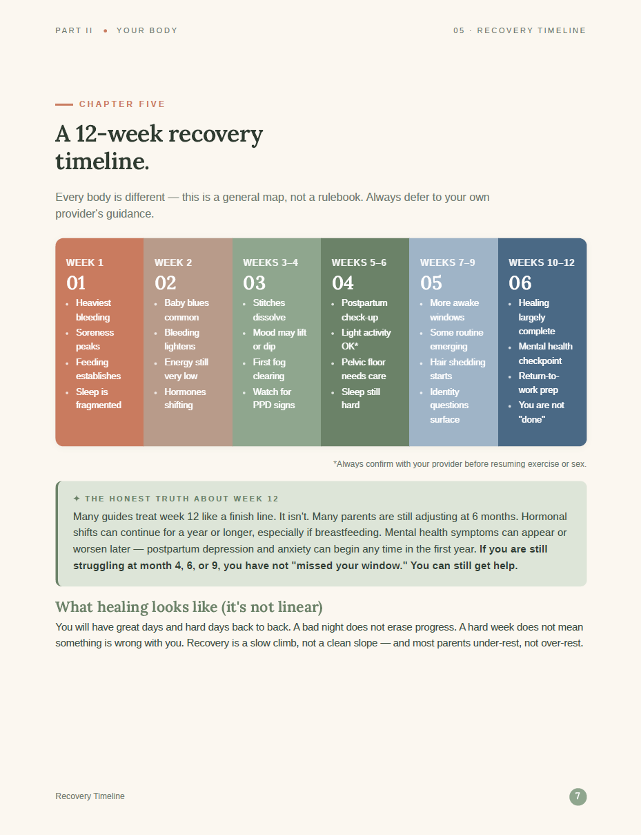 After Birth - The Fourth Trimester Guide