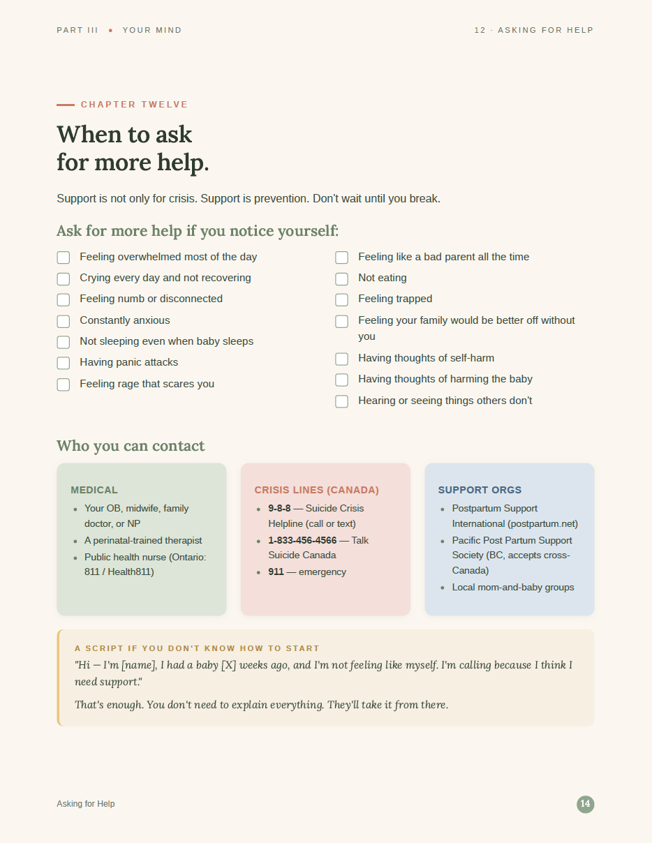 After Birth - The Fourth Trimester Guide