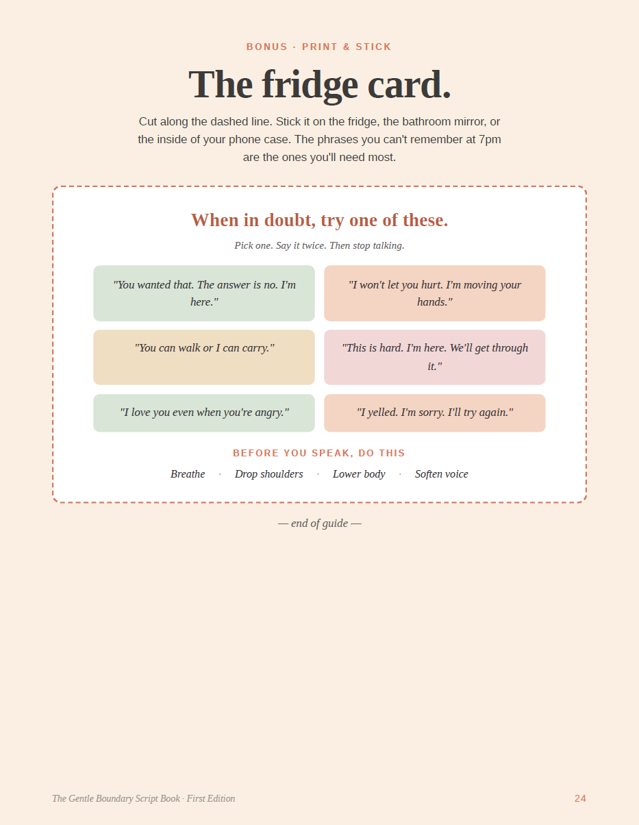 The Gentle Boundary Script Book